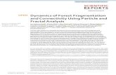 Dynamics of Forest Fragmentation and Connectivity Using Particle … · Scientific RepoRtS | (2019) 9:12228 |  1  Dynamics of forest fragmentation and connectivity ...