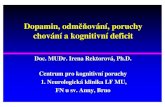 Dopamin , odm ěň ov ání, poruchy chov ání a kognitivn í deficit · 2008. 12. 18. · Dopamin , odm ěňov ání, poruchy chov ání a kognitivn í deficit Doc. MUDr. Irena