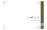 Ecologie...De niveaus van de ecologie Relaties tussen organisme en milieu onderzoeken op vier niveaus. Individu: 1 organisme Populatie: groep individuen van hetzelfde soort in een