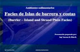 Ambientes sedimentarios Facies de Islas de barrera y costassaber.ucv.ve/bitstream/123456789/10450/1/presentacion... · 2015. 6. 24. · Ingª Aurora B. Piña Ambientes Sedimentarios