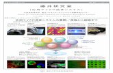 Applied Microfluidic Systems...Applied Microfluidic Systems ソフトアクチュエータ 微小流路構造や圧力発生源を埋め込んだ シリコーンゴム製ソフトアクチュエータを開