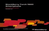 BlackBerry Torch 9800 Smartphone...Impostazione delle opzioni per la modalità Comodino..... 201
