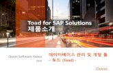 Toad for SAP Solutions 제품소개...- 9 - Toad for SAP Solutions 에디션 개발생산성향상을 위한솔루션으 DB 오브젝트생성및관리, 쿼리실행