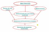 Rango de una Matriz Inversa matriz cuadrada · 2010. 6. 24. · MATRICES Rango de una matriz Matriz Inversa Determinante de una matriz cuadrada Sistemas de Ecuaciones Lineales Nociones