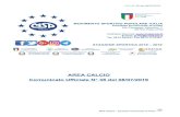 AREA CALCIO Comunicato Ufficiale N° 38 del 08/07/2019 · 2019. 7. 8. · C.U. N° 38 del 08/07/2019 AREA CALCIO Comunicato Ufficiale N° 38 del 08/07/2019 MSP ITALIA – Comitato