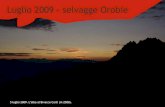 Luglio 2009 - selvagge Orobie...2009/06/30  · Luglio 2009 - selvagge Orobie 5 luglio 2009. L’alba al Bivacco Corti (m 2500). Pizzo Scotes (m 2978) - versanti N e S Pizzo Scotes