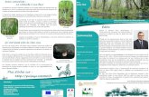 Édito Sommaire - Communauté de communes de Puisaye Forterre · 2019. 3. 11. · Evolution des sites Natura 2000 portés par la Communauté de communes de Puisaye-Forterre * Vocabulaire