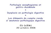 Pathologie oesophagienne et gastro-duodénale Dysplasie en ...dcem1p7.free.fr/Hepato-gastro/ED semio gastro-anapath-2008.pdf · Dysplasie en pathologie digestive + diagnostic patient