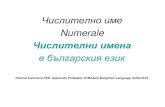 Числително име – Numeraledeos.mu-sofia.bg/sector_bulgarian_programs/materiali/grammar/7 n… · Числително име Numerale Числителни имена