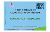 Projet Ferroviaire Ligne à Grande Vitesse BORDEAUX ...cpdp.debatpublic.fr/cpdp-projet-ferroviaire-bordeaux...Dans le cadre du débat public sur le projet de LGV Bordeaux – Espagne,