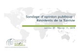 Sondage d’opinion publique : Résidents de la Tunisie · 2019. 12. 13. · Le plus grand problème Le deuxième plus grand problème Total ... Jan-19 Nov-17 Avr-17 Déc-16 Mai-16