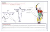 Muscles sollicités : Quadriceps, adducteurs (muscles de la face …ekladata.com/S1vNv5j0kbJNb_Ssf_p6RoAz-gg/Jambes.pdf · 2016. 7. 18. · CUISSES Muscles sollicités : Quadriceps,