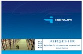 KIRŞEHİR 2 1 0 İŞGÜCÜ PİYASASI ANALİZİ 2 RAPORUmedia.iskur.gov.tr/14705/kirsehir.pdf · 2018. 7. 29. · Kırşehir sosyo-ekonomik gelişmişlik sıralaması itibariyle 81