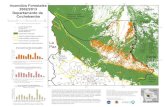 2002/2013 Beni Departamento de Cochabamba - Firecast · 2015. 8. 17. · Departamento de Cochabamba limite departamental / regional boundary areas protegidas / protected area bosque