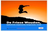 De Friese Wouden, - LanterfantenDrenthe, de Kop van Overijssel en de Alde Feanen. Huidige doelgroepen Zuidoost Fryslân biedt verschillende belevingswerelden voor verschillende doelgroepen.