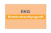 Elektrokardiyografi - İstanbul Üniversitesi EKG’de Derivasyonlar Standart Ekstremite Derivasyonları I II III Arttırılmış Ekstremite Derivasyonları AVR AVL A VF Göğüs Derivasyonları