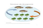 Técnicas de Acuaponia...4 INTRODUCCION El término “ acuaponia ” deriva de la combinación del término acuicultura (o acuacultura) sumado a hidroponía y para poder introducir