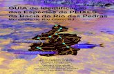 Guia de Identificação das Espécies de Peixes da Bacia do ... · eletricidade da região metropolitana do Rio de Janeiro. Neste Guia, a fauna de peixes que vivem na bacia do rio