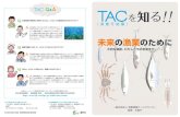 TAC - maff.go.jp · 2021. 1. 25. · TAC（漁獲可能量）は、近年の漁獲実績割合などを元に、農林水産大臣が管理する漁業種 類ごと又は都道府県ごとに数量配分され、漁獲の管理が行われます。.