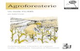 Agroforesterie - Tearfund · 2020. 10. 12. · Le moringa: un arbre aux propriétés particulières 46 (F22) Etudes bibliques 48 Liste de noms utiles en agroforesterie 52 3. Introduction