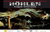 HÖHLEN - Fragile UnterweltFragile Unterwelt Schweizerische Gesellschaft für Höhlenforschung Kommission für Karst-und Höhlenschutz Ausstellung über die faszi-nierende Welt der