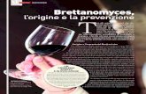 CANTINA VINIFICAZIONE Brettanomyces, l’origine e la ......Per comprendere meglio origini ed effetti della presenza di Bretta-nomyces nel vino è utile partire dal suo metabolismo