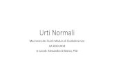 Urti Normali - Roma Tre University · 2020. 5. 19. · Urti Normali Meccanica dei Fluidi: Modulo di Fluidodinamica AA 2013-2014 A cura di: Alessandro Di Marco, PhD