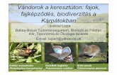 Vándorok a keresztúton: fajok, fajképzıdés, biodiverzitás a … · 2010. 3. 26. · Vándorok a keresztúton: fajok, fajképzıdés, biodiverzitás a Kárpátokban Ujvárosi