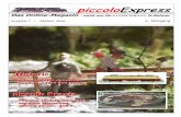 piccoloExpress - Spur N Datenbank · 2006. 10. 19. · Seite 2 Alle bisher erschienen Ausgaben können Sie bequem über die Homepage « » via Download beziehen! piccoloExpress 7.