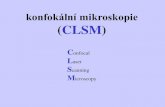 konfokální mikroskopie (CLSM)cr-hana.upol.cz/cellbiol/bilder/BRB/BRB3.pdf · 2017. 11. 28. · konfokální mikroskop vzorek objektivová čočka excitační světlo zobrazovací