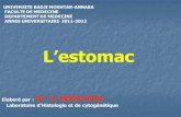 Cours de lestomac-2012€¦ · Le tube digestif Structure générale du tube digestif 5 tuniques concentriques : - La muqueuse - La musculaire muqueuse - La sous-muqueuse - La musculeuse