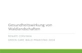 Gesundheitswirkung von Waldlandscha5en - INFTA von... · • Auszeit im österreichischen Wald • Diskussion Gesundheitsangebote Natur und Gesundheit Private Gärten Urbane Grünraume