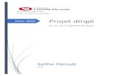 Projet dirigésalihayacoub.com/420Kbe/Theorie/Gestion_de_projetsv1.pdfScrum, pour la gestion de projet. Saliha Yacoub. CLG. SALIHA YACOUB 1. Table des matières. Chapitre1, Introduction
