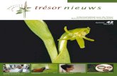 Nummer Mei 2015 - Stichting Trésor...Informatieblad over de Trésor Natuurreservaat in Frans-Guyana Nummer 42 Mei 2015 De ondertekening van de pag. 3 overdracht van het gebied rond