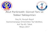 Akut Pankreatit: Güncel Tanı ve Tedavi Yaklaşımları · 2017. 6. 1. · • Aggressive fluid resuscitation is recommended for initial management of acute pancreatitis. We performed