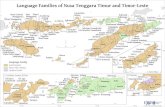 Language Families of Nusa Tenggara Timur and Timor-Leste · 2019. 4. 22. · Lamaholot Insana Biboki Molo Fatule'u Amfo'an Baikeno Amanatun Kusa-Manea Amanuban Ro'is Amarasi Amabi
