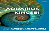 AQUARIUS KINCSEI...kívül érdeklik az okkult tudományok, és évjáradékkal támogatja azok gyakorlóit. Uralkodása alatt Anglia a reneszánsz csúcspontját éli. Ellenáll a