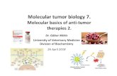 Molecular tumor biology 7. - Állatorvostudományi Egyetem · 2018. 9. 28. · Molecular tumor biology 7. Molecular basics of anti-tumor therapies 2. Dr.GáborMátis University of