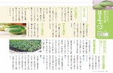 しゅう 夏秋まき 収量で選ぶおすすめ品種 キャベツ - TAKII2012 タキイ最前線 夏号 93出蕾し始めたら追肥を行い、花蕾の 株当たりリ＝8：8：8の化成肥料であれば、肥大を促します。チッソ、リン酸、カ
