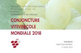 Conjoncture vitivinicole mondiale 2018 Pau Roca · 2019. 4. 11. · Paris, le 11 avril 2019 CONFERENCE DE PRESSE Conjoncture vitivinicole mondiale 2018 Pau Roca Directeur Général