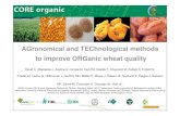 AGronomical and TEChnological methods to improve ORGanic … · 2013. 7. 3. · techniques & Produce common methodology • Improved knowledge due to multidisciplinary research team