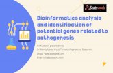 Bioinformatics analysis and identification of potential genes related to pathogenesis