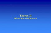 Antotomiforelæsning: THorax 2 Forelaesningsnoter/Thorax 2... · 2020. 11. 4. · Antotomiforelæsning: THorax 2. Thorax II. Michel Bach Hellfritzsch. Aorta på røntgen af thorax.