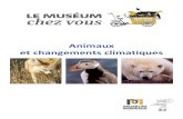 Animaux et changements climatiques - Museum Bordeaux · 2020. 11. 4. · Le Muséum chez Vous - Dossier pédagogique - Animaux et changements climatiques Nov2020 7 Exemple de l’isatis: