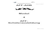 Bundeskommission Fallschirmsport AFF-Ausbildungshandbuch … · 2019. 2. 26. · Bundeskommission Fallschirmsport AFF-Ausbildungshandbuch Teil I Version 6.0 / Modul 4 Seite 6 von