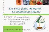 Les petits fruits émergents – La situation au Québec · 2017. 2. 13. · Les petits fruits émergents – La situation au Québec INPACQ – Commercialisation des petits fruits