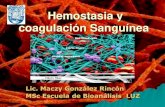 Hemostasia y coagulación Sanguínea · 2013. 10. 19. · Hemostasia y coagulación Sanguínea Lic. ... COAGULACION (Cese definitivo del sangrado) ... Trombosis Venosa 2 3 Flebitis,