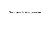 Neuronale Netzwerke - uni-bielefeld.dereimann/PROSEMINAR/zz_boeg… · „Neuronale Netze bilden die Struktur und Informationsarchitektur von Gehirn und Nervensystem“ Was ist ein