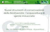 Nuovi strumenti di conservazione - homepage — Italiano...Nuovi strumenti di onservazione della iodiversità: l’aqua oltura di speie minaiate Entro il 2030 l’aquaoltura sostituirà