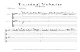 Terminal Velocity...Terminal Velocity John Petrucci Transcribed by Fortiz Music Transcriptions ( fortizmusic@gmail.com )Terminal Velocity 1/38 = 95 Guitar I Standard tuning Guitar